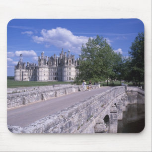 Chateau Chambord, Loire Valley, Frankrike Musmatta