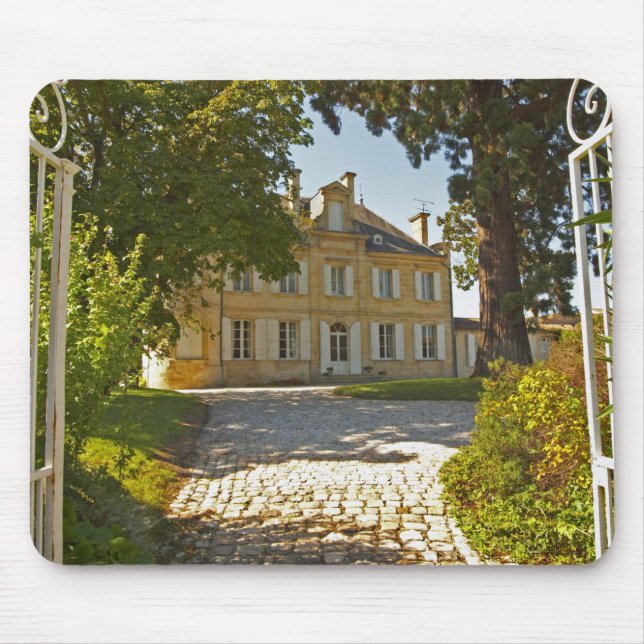 Chateau Cos Labory i Saint Estephe, smidd Musmatta (Framsidan)