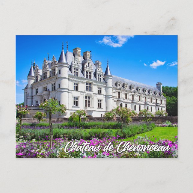 Chateau de Chenonceau, France Vykort (Framsida)