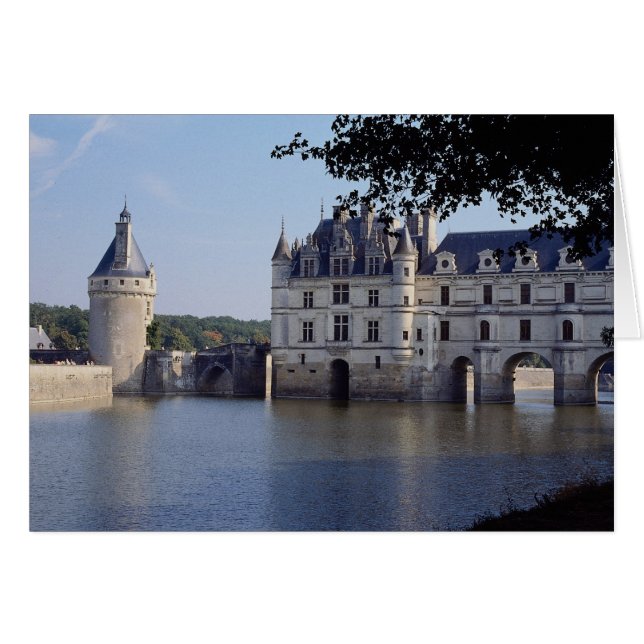 Chateau De Chenonceau, Frankrike Hälsningskort (Framsidan Horizontal)