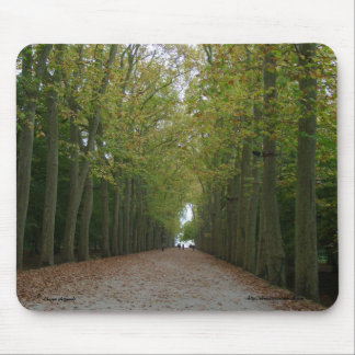 Chateau de Chenonceau Mousepad Musmatta
