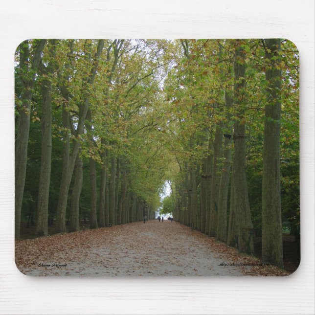 Chateau de Chenonceau Mousepad Musmatta (Framsidan)