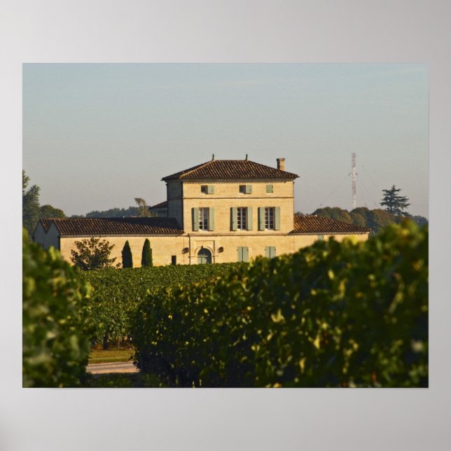 Chateau Lafleur Petrus och vineyard i Pomerol, Poster (Framsidan)