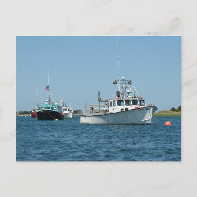 Chatham Harbor Boats Vykort (Framsida)