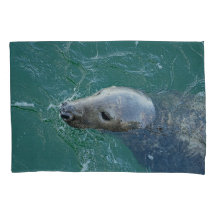 Chathams finaste Grått Sälar