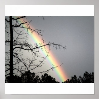 Chatta efter Rainbows Poster