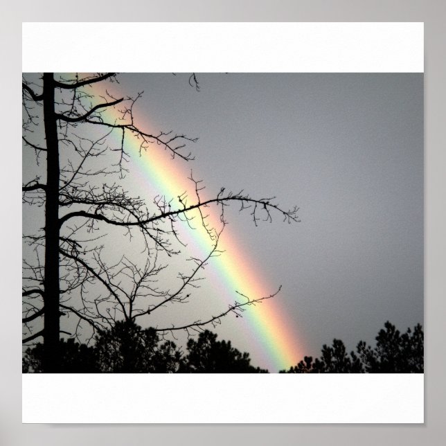 Chatta efter Rainbows Poster (Framsidan)