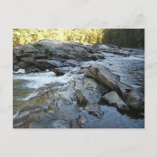Chattooga River Postcard Vykort (Framsida)