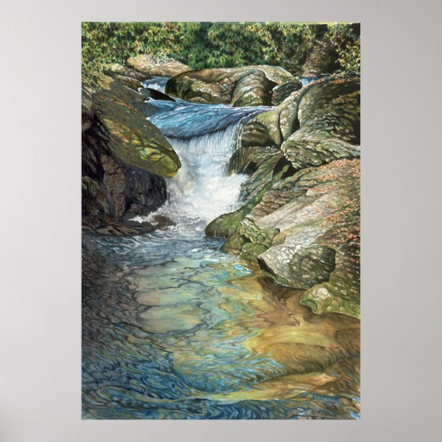 Chattooga River Poster (Framsidan)