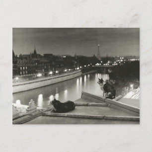 Chattor la unit - Paris - 1954 - Robert Doisneau Vykort