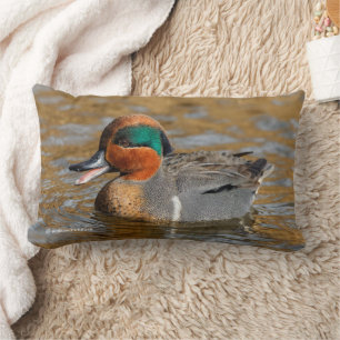 Chatty Grönt-Winged Teal Anka vid Pond Lumbarkudde