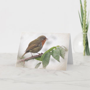 Chatty Robin, hälsningkort, packar inklusive in Helgkort