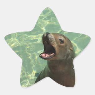 Chatty Sea Lejon Sticker Stjärnformat Klistermärke