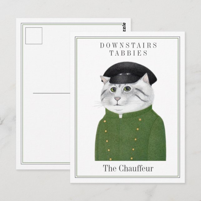 CHAUFFÖR KATT Brevkort Vykort (Fram/baksida)