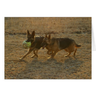 Chauncey & Abie Hälsningskort