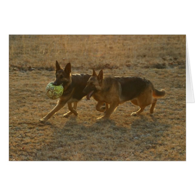 Chauncey & Abie Hälsningskort (Framsidan Horizontal)