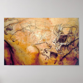 Chauvet Cave-målning Poster