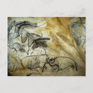 Chauvet Lascaux Cave Horses and animals Postcard Vykort