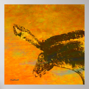 Chauvet Vild Horse Poster