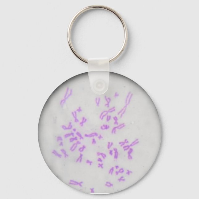 Chaveiro Cromossomos Nyckelring (Framsida)