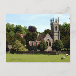 Chawton Hampshire - Får vid sidan av kyrkan Vykort