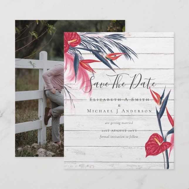 CHEAPEST PHOTO Spara Data Pampas Grass Tropical (Fram/baksida)