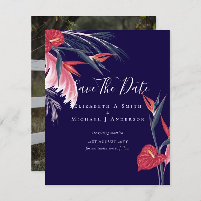 CHEAPEST PHOTO Spara Data Pampas Grass Tropical (Fram/baksida)