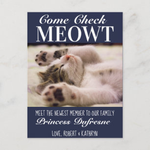 "Check Meowt" New Cat Announcement Blue Vykort