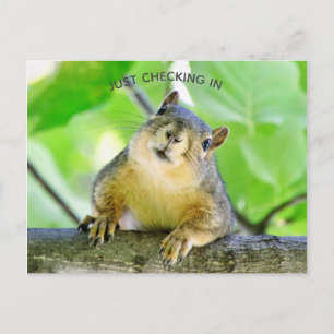 Checka bara in vykort