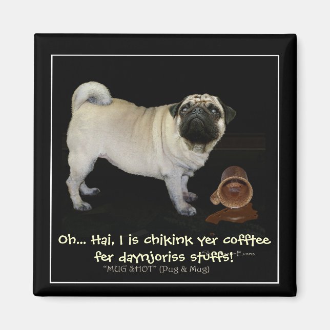 "Checka din kaffe.." roligt Magnet. Magnet (Framsidan)