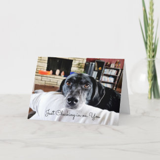 Checka in dig | Cute Hund-Personlig Kort