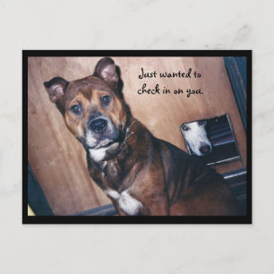 Checka in på dig. vykort