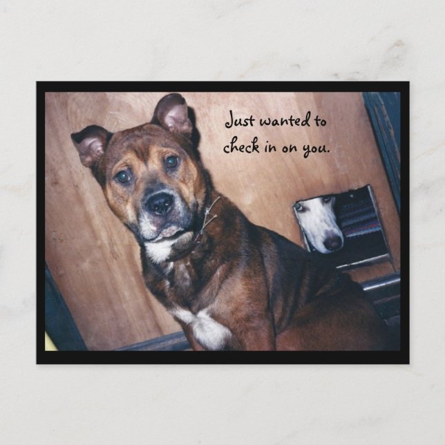 Checka in på dig. vykort (Framsida)