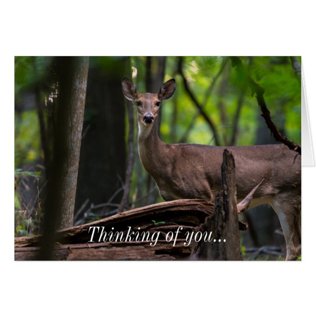 Checka ut dig genom att tänka på ditt kort (Framsidan Horizontal)