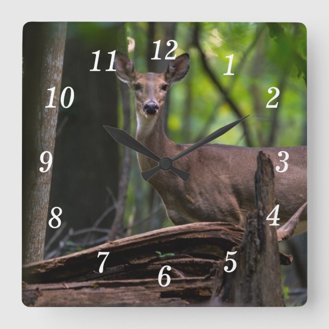 Checka ut väggklocka (Framsida)