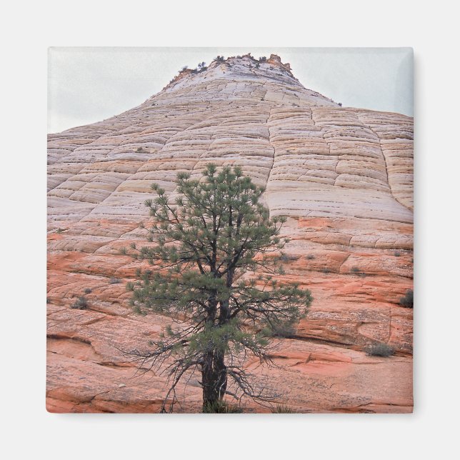 Checkerboard Mesa Magnet (Framsidan)