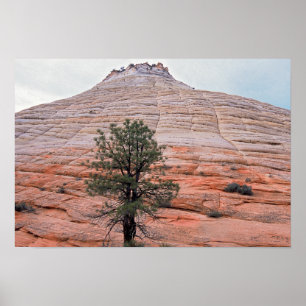Checkerboard Mesa Zion nationalpark Poster