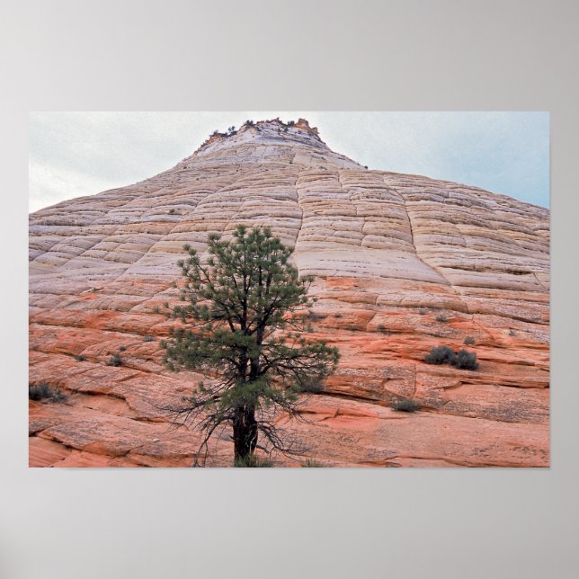 Checkerboard Mesa Zion nationalpark Poster (Framsidan)
