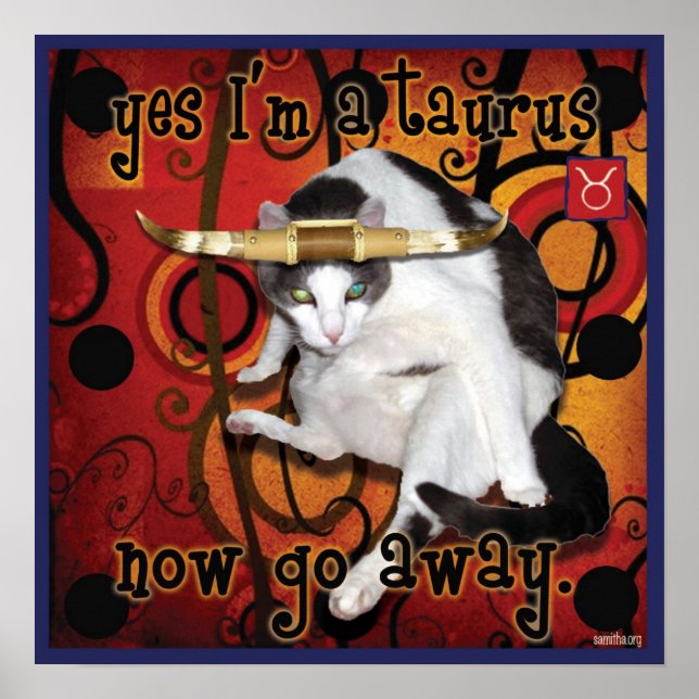 checkers taurus poster (Framsidan)