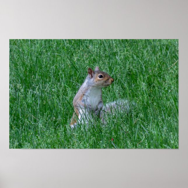 Checking it Out Poster (Framsidan)