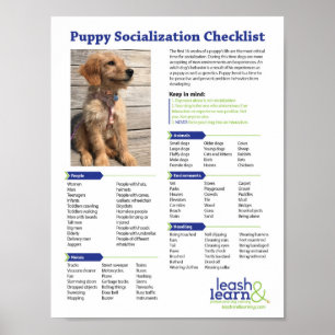 Checklista för marionettsocialisering poster