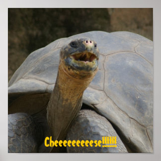 Cheeeeeeeeese!!!!!!!!!!!!!!!!!!!!!!!!!!!!!!!!!!!!! Poster