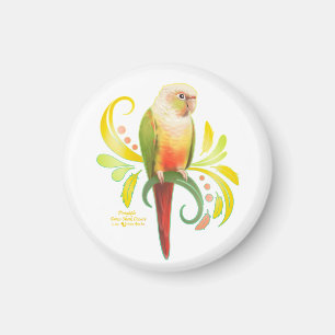 Cheek Conure för ananas Grönt Magnet