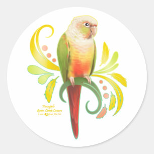 Cheek Conure för ananas Grönt Runt Klistermärke