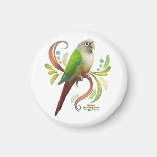 Cheek Conure för Grönt av kanel Magnet