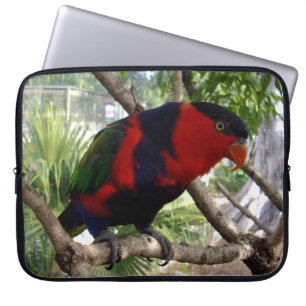 Cheeky Ansikte Rainbow Lorikeet Laptop Sleeve