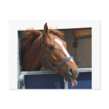 Cheeky Chestnut-häst