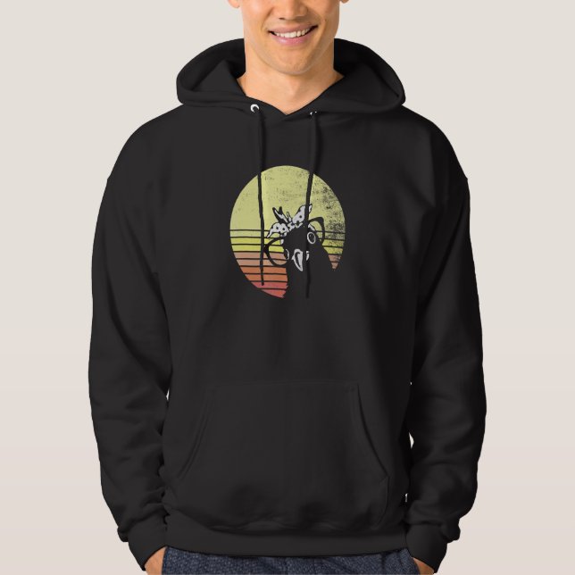 Cheeky Chicken Retro Sunset Sunglasses Hoodie (Framsida)