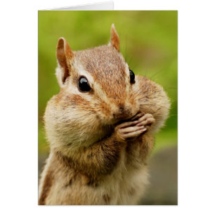 Cheeky Chipmunk-kort Hälsningskort