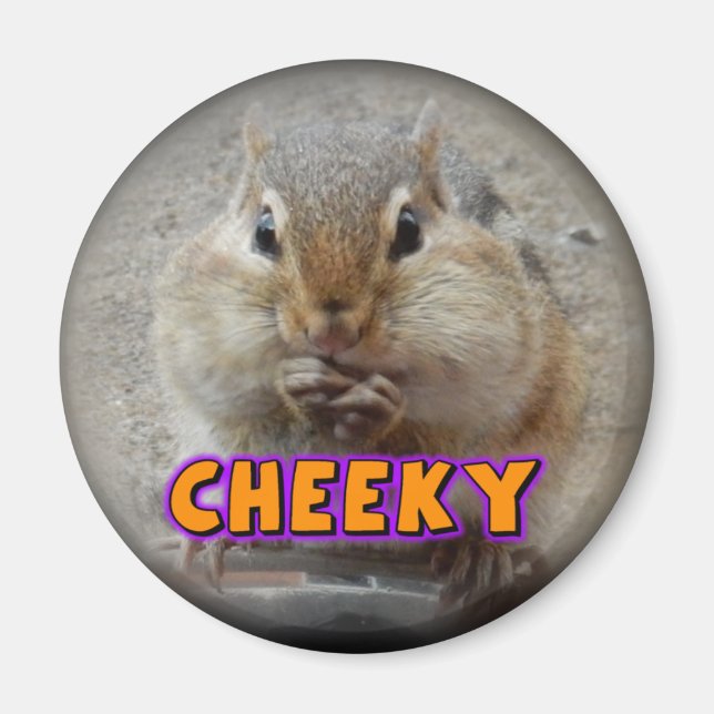 Cheeky Chipmunk Magnet (Framsidan)